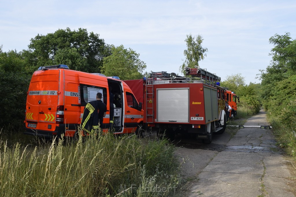 Waldbrand Koeln Hoehenhaus Hoehenfelder Mauspfad P168.JPG - Miklos Laubert